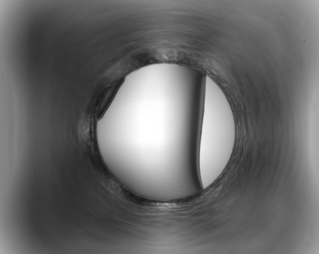 X0000088710233200705311044