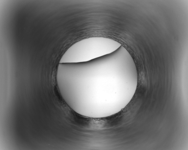 X0000088710234200705311044