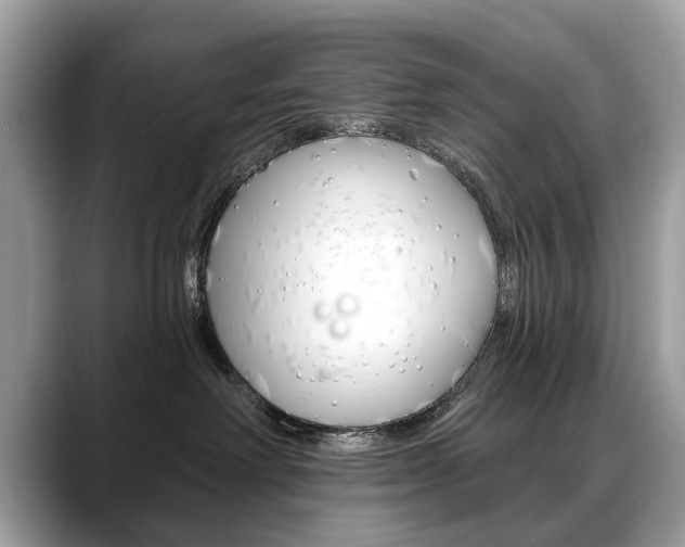 X0000088710238200705311044