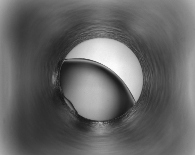 X0000088710239200705311044
