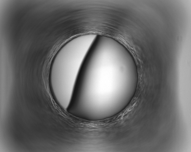 X0000088710241200705311043