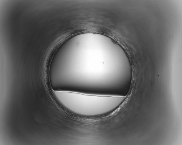 X0000088710245200705311043