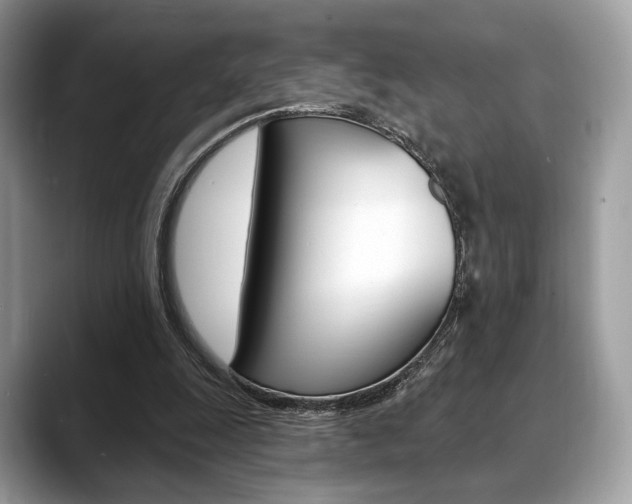 X0000088710247200705311044