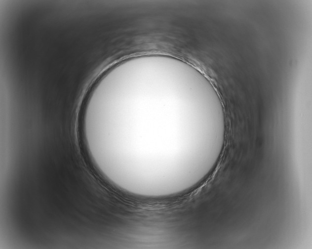 X0000088710248200705311044