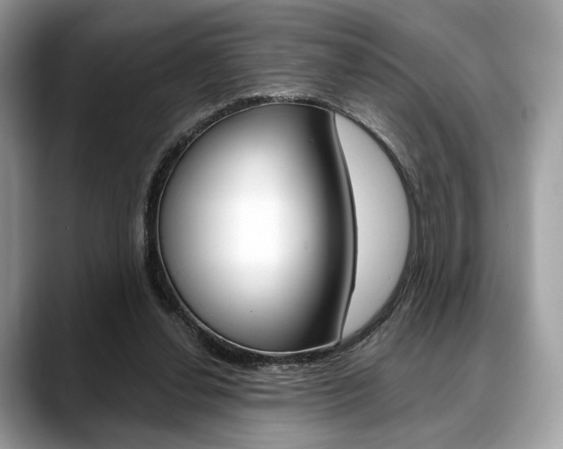 X0000088710252200705311044