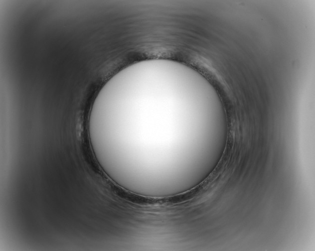 X0000088710259200705311044