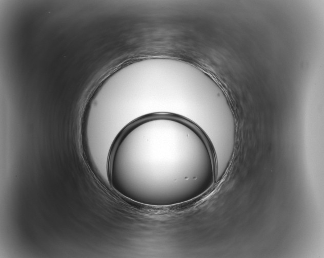 X0000088710293200705311043