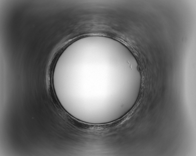 X0000088710294200705311043