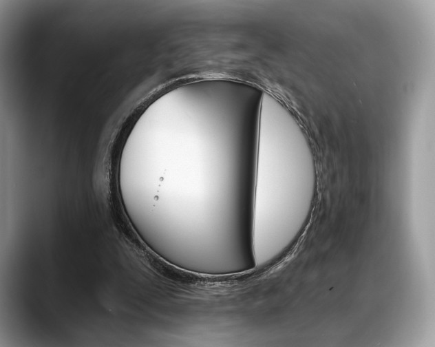 X0000088710295200705311043