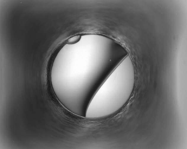 X0000088710296200705311043