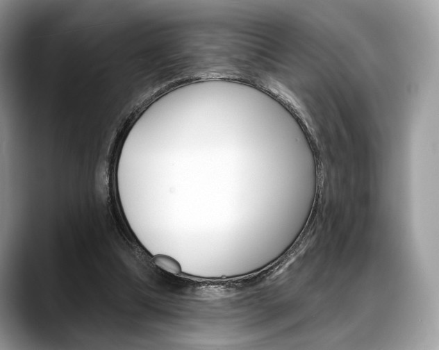 X0000088710298200705311043