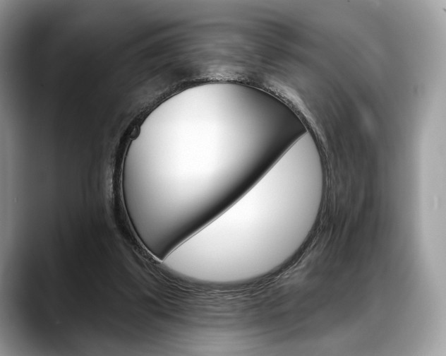 X0000088710299200705311043