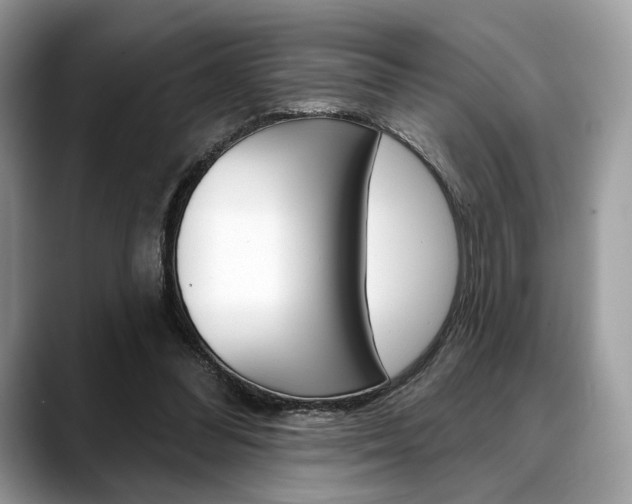 X0000088710300200705311043