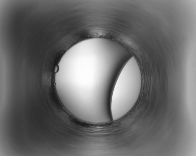 X0000088710315200705311043