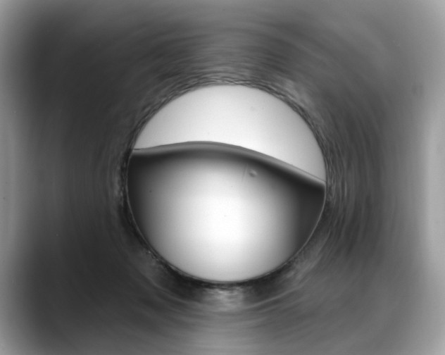 X0000088710317200705311043