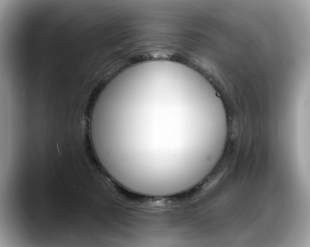 X0000088710321200705311043