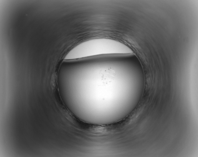 X0000088710325200705311043