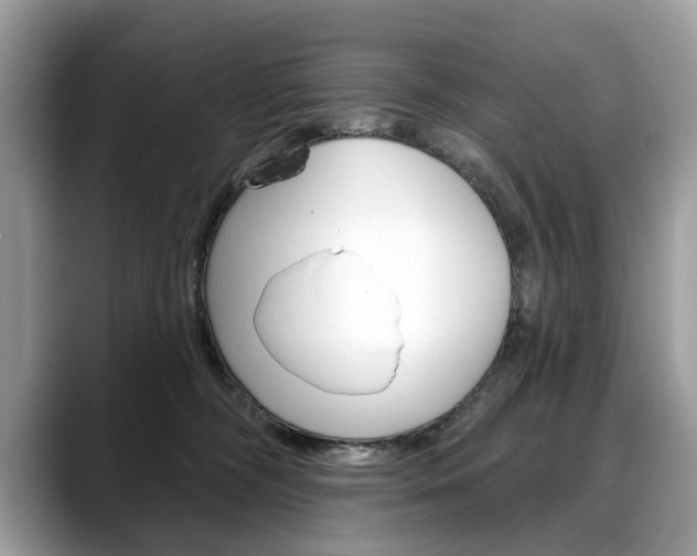 X0000088710326200705311043