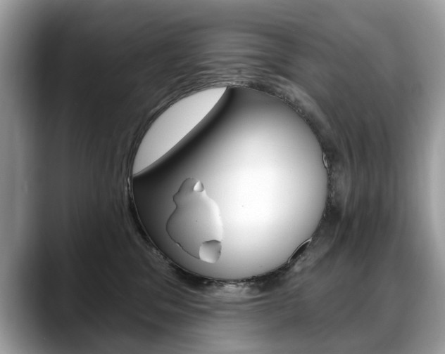 X0000088710329200705311043