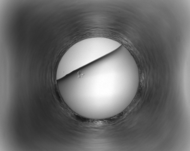 X0000088710330200705311043