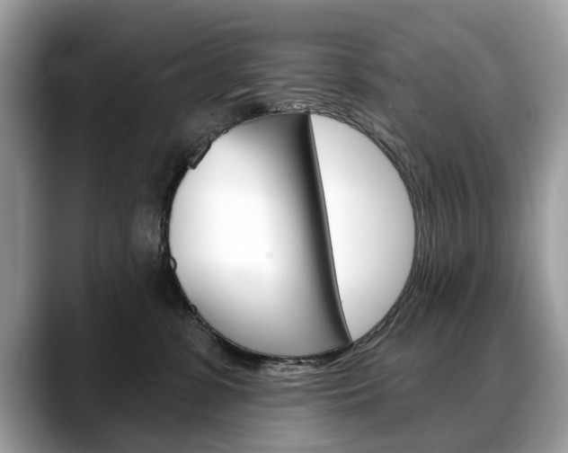 X0000088710331200705311043