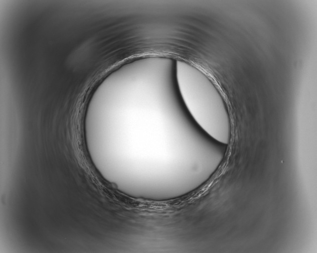X0000088710337200705311042