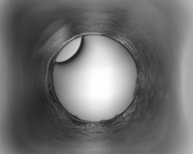 X0000088710338200705311042