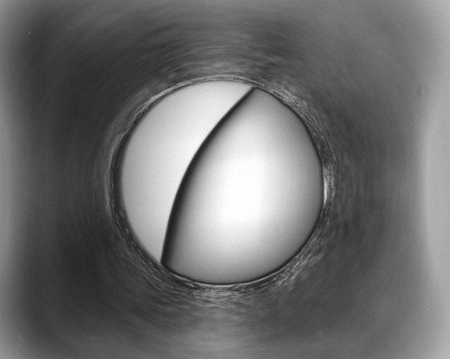 X0000088710339200705311042