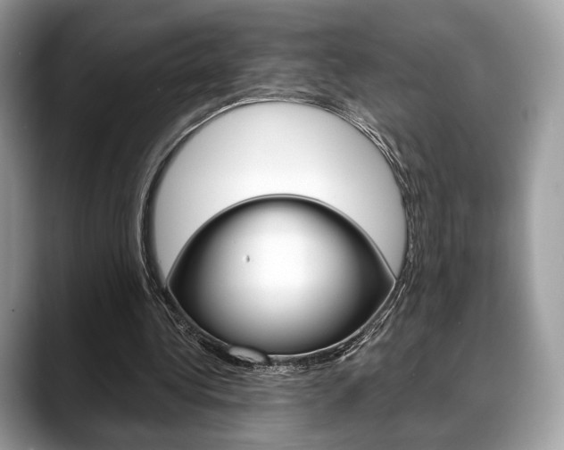 X0000088710340200705311042