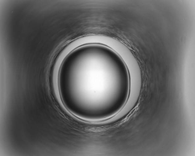 X0000088710341200705311042