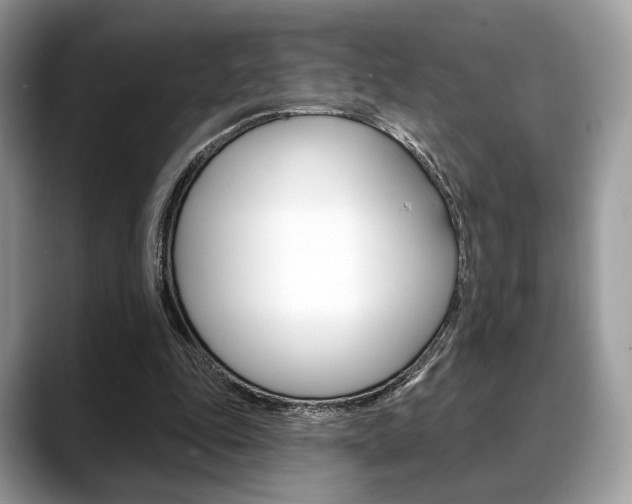 X0000088710343200705311042