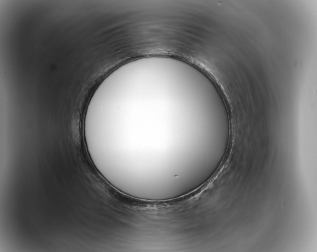 X0000088710345200705311042