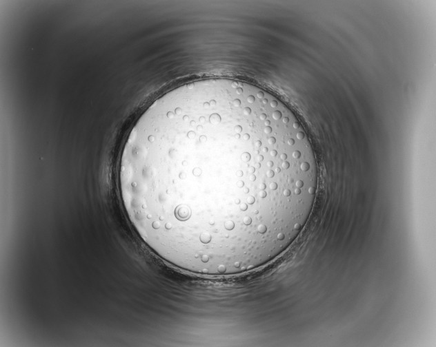 X0000088710347200705311042
