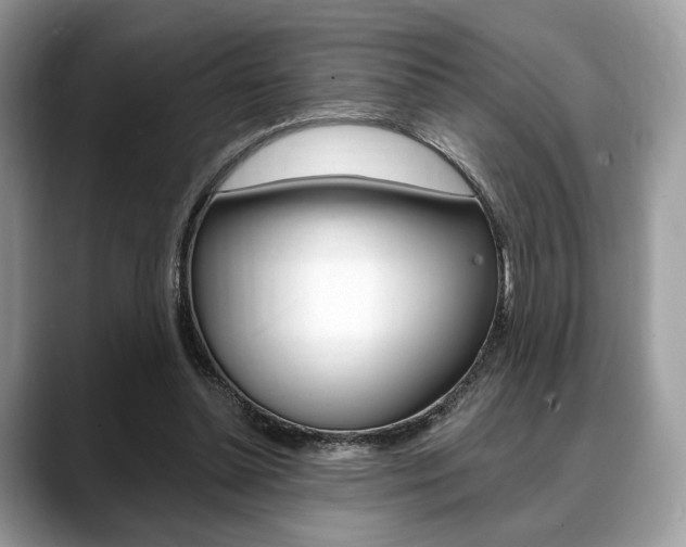 X0000088710348200705311042