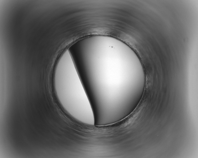 X0000088710349200705311042