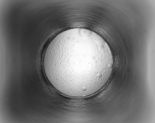 X0000088710351200705311042