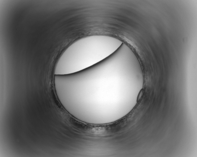 X0000088710353200705311043