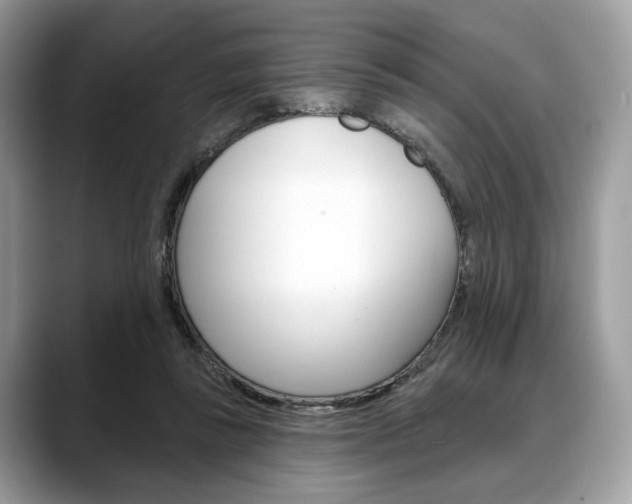 X0000088710355200705311043