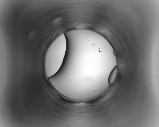X0000088710357200705311043