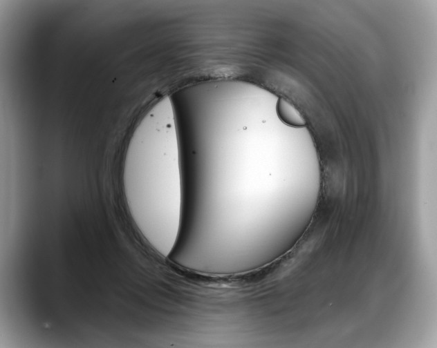 X0000088710358200705311043