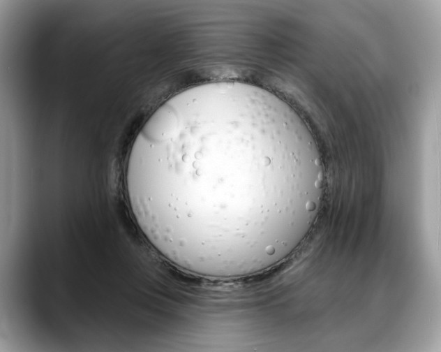 X0000088710359200705311043