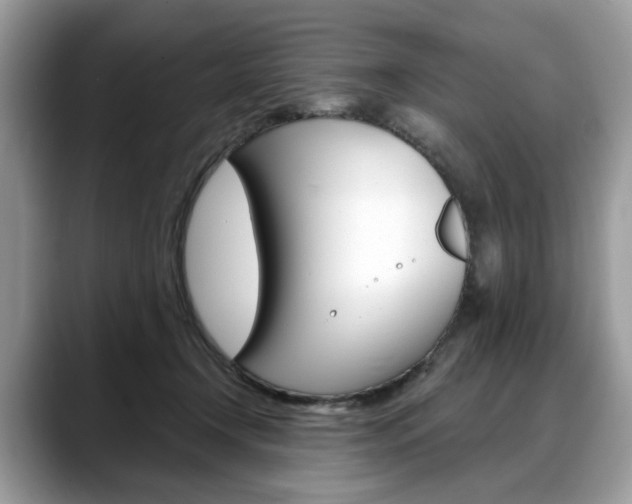 X0000088710366200705311043