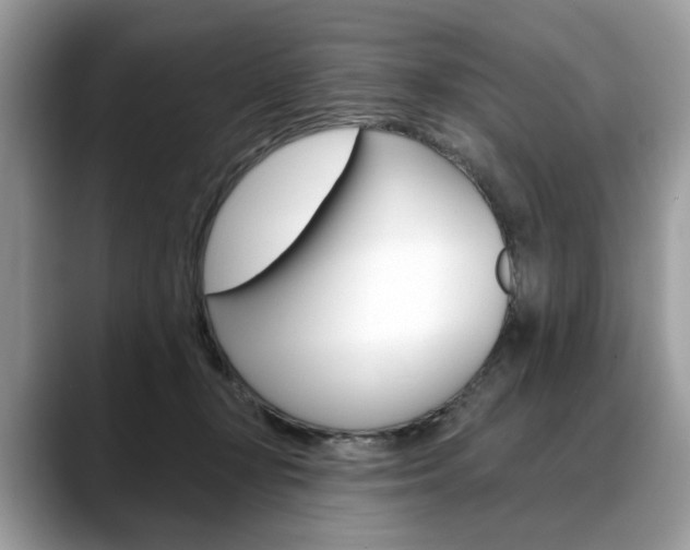 X0000088710367200705311043