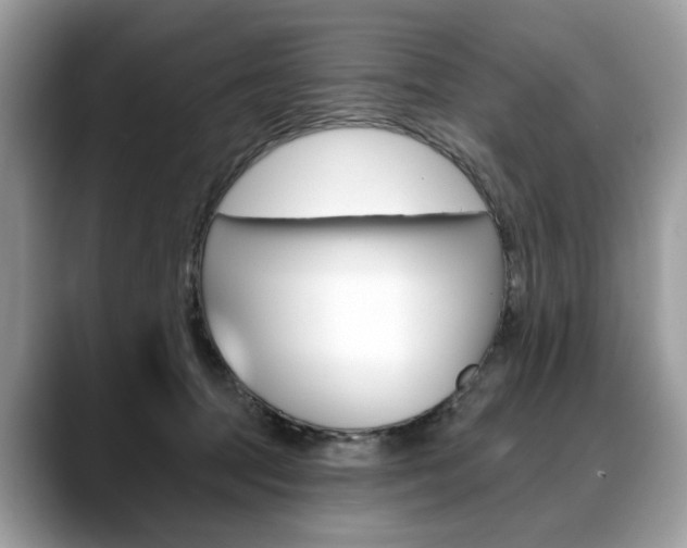 X0000088710369200705311043