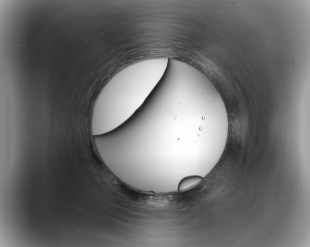 X0000088710373200705311043