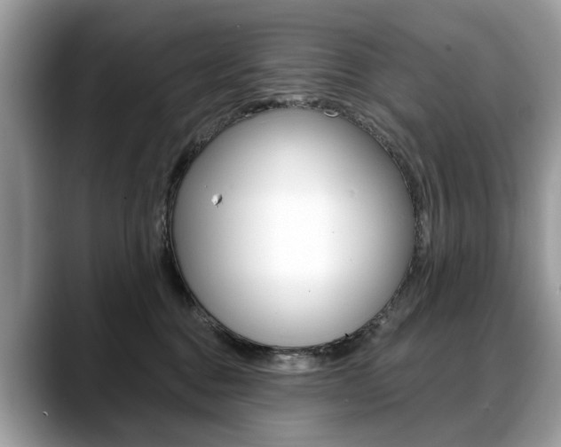 X0000088710376200705311043