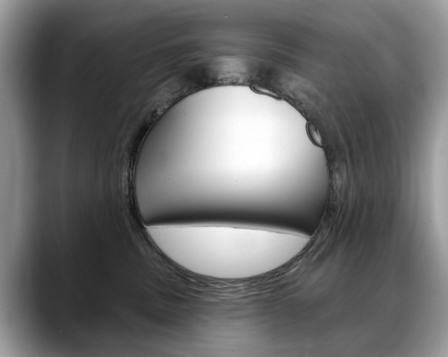 X0000088710379200705311043