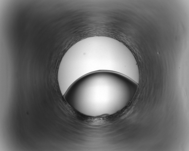 X0000088710384200705311043