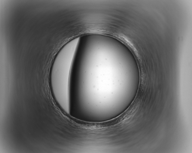 X0000088710385200705311042