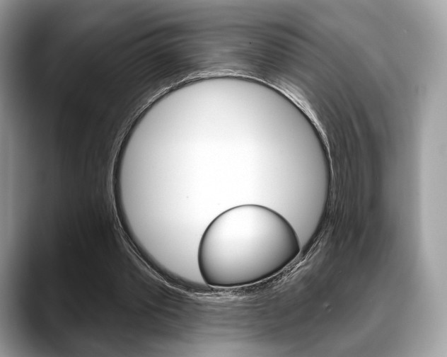 X0000088710389200705311042